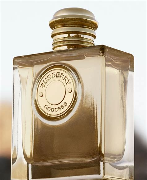 burberry boisè aromatique|macy's burberry.